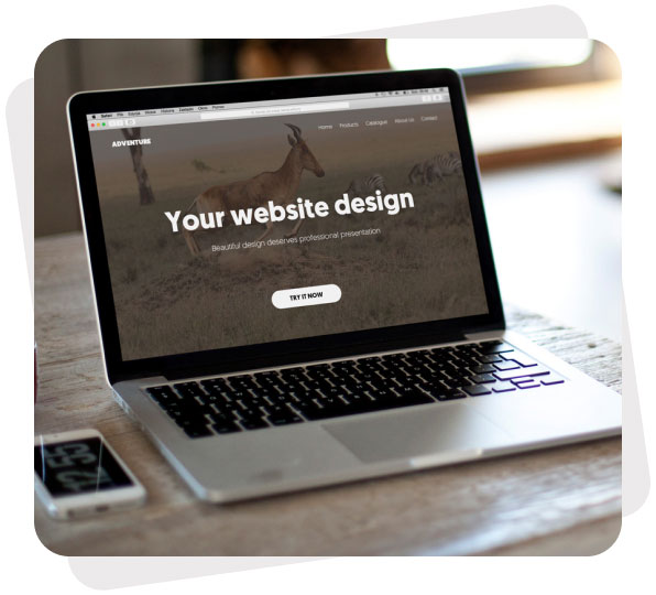 طراحی وبسایت حرفه ای با تاپیکس آرت